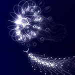 浮游世界flow